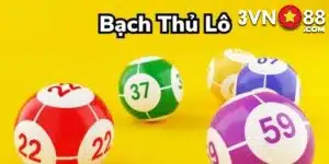 bạch thủ lô là gì