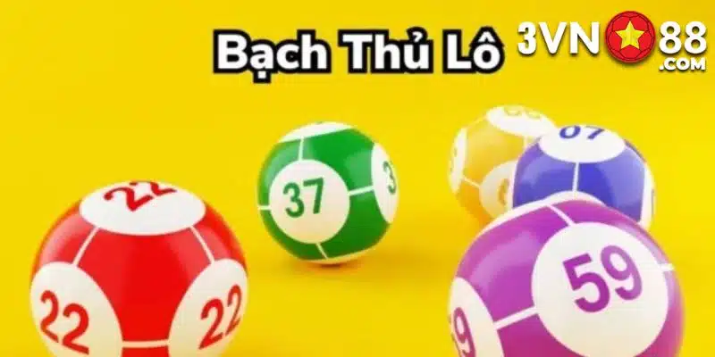 bạch thủ lô là gì